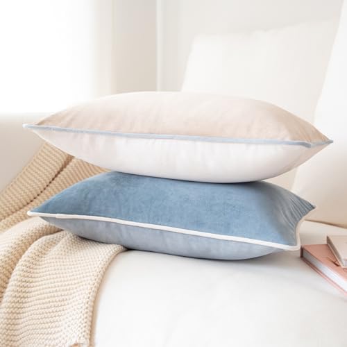 MONDAY MOOSE Decorative Throw Pillow Covers Cushion Cases, Set of 2 Soft Velvet Modern Double-Sided Designs, Mix and Match for Home Decor, Pillow Inserts Not Included (12x20 inch, Beige/Light Blue)
