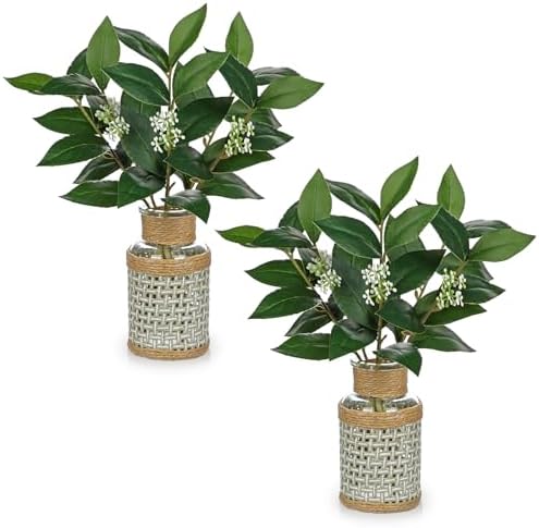 DILATATA 2Pcs Artificial Laurel Stems in Glass Vase with Faux Water and Woven Basket 11" Fake Greenery Plant Bay Leaves for Home Office Farmhouse Bathroom Bedroom Kitchen Table Centerpiece Decor