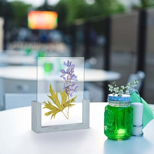 PETAFLOP 5x7 Picture Frame 2 Pack, Double Sided Glass Photo Frame 5 by 7 U-Shaped Blue Picture Frames 5x7 for Desktop or Tabletop