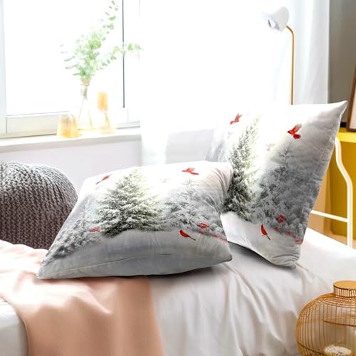 Winter Snowy Pine Tree Throw Pillow Covers 20x20 inch Set of 2 Xmas Red Cardinals Cotton Pillowcase Christma Snow Scene Flying Birds Cushion Cases for Home Sofa