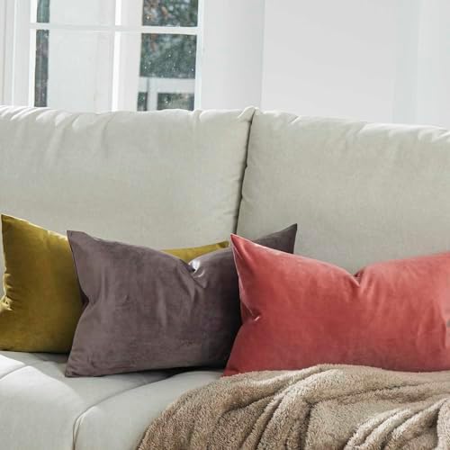 Mulberry Decorative Lumbar Velvet Throw Pillow Covers 16x24 inch Set of 2 with Zipper Luxury Soft Solid Rectangle Cushion Covers Case for Sofa Couch Bed Living Room