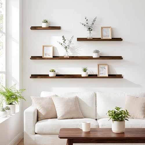 Acovy Floating Shelves Set of 6, 24 Inch Wall Mounted Picture Ledge Shelf with Lip, Walnut Display Shelves for Living Room, Bedroom, Nursery, Bathroom & Kitchen