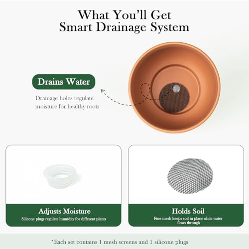 Terracotta Pots, 6 Inch Plant Pots with Drainage Holes for Indoor Plants