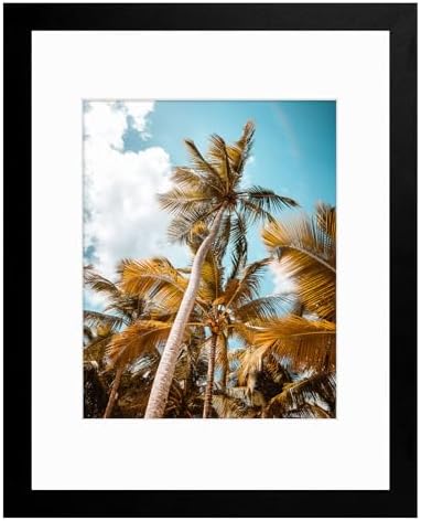 Frametory 11x14 Black Picture Frame with Real Glass Mat for 8x10