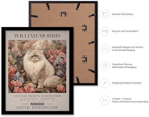 Poster Master Persian Cat Print - Flower Art - Botanical Design - Exhibition Display - Animal Illustration - Floral Painting - Cat Illustration - Aesthetic Office or Bedroom Decor - 11x14 Black Framed