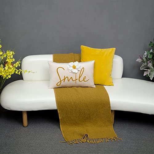 OiseauVoler 3D Flower Embroidered Smile Throw Pillow Covers 12x20 Inch