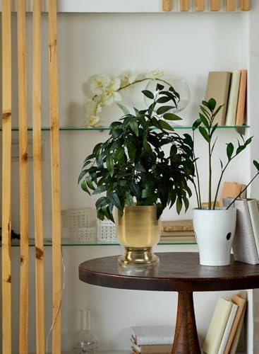 Serene Spaces Living 6.5" Kanchan Pedestal Urn Vase, Gold Metal Vases for Centerpieces, Home Decor, Wedding, Parties, Floral Arrangements, Cachepot, Potpourri, Catchall, Pack of 12