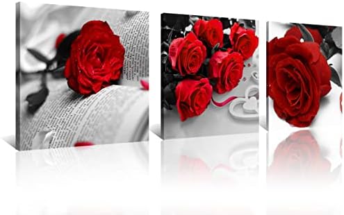 NAN Wind Canvas Print 3 Pcs Black and White Red Rose Canvas Art Painting Abstract Wall Art Decorations Flower Picture on Canvas for Home Decor Stretched and Framed (20X20inchX3pcs, Rose Book)