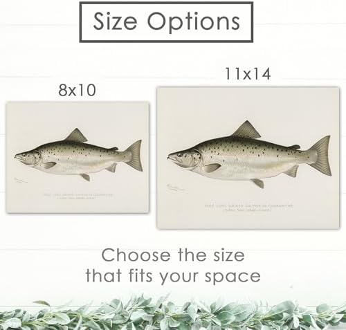 DREAM BIG PRINTABLES Vintage Fish Species Art Prints (Set of 6) - Unframed - 8x10 | Fishing Wall Decor for Fisherman