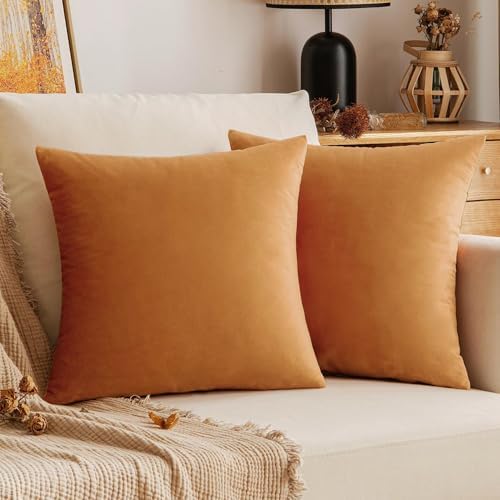 VAKADO Pumpkin Fall Throw Pillow Covers Decorative 16x16 Set of 2 Outdoor Decor Couch Cushion Covers Pillowcases Home Bed Decoration for Sofa Bedroom Office
