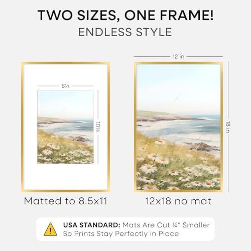 Homeforia 12x18 Gold Picture Frame, High-End Metal, 8.5x11 Mat, Glass