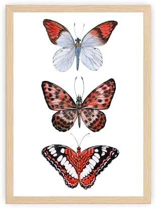 Prints Made Perfect Red Butterfly Wall Art – Watercolor Butterfly Print – Botanical Insect Nature Decor – Cottagecore Bedroom Wall Decor – 11x14 Unframed Linen Paper