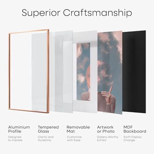 Homeforia 11x18 Rose Diploma Frame, High-End Metal, 8.5x11 & 5x7 Mat