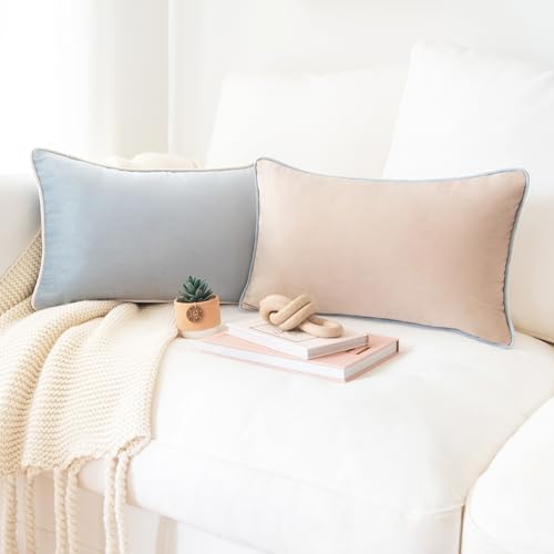 MONDAY MOOSE Decorative Throw Pillow Covers Cushion Cases, Set of 2 Soft Velvet Modern Double-Sided Designs, Mix and Match for Home Decor, Pillow Inserts Not Included (12x20 inch, Beige/Light Blue)