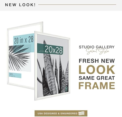 MCS Studio Gallery Poster Frame, 20x28, Natural Woodgrain, 2-Pack