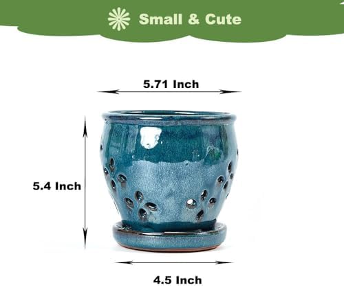 Orchid Pots with Holes Attached Saucers 5.7 Inches - 1 Pcs Small Ceramic Pots for Repotting, Decorative Ceramic Orchid Planter with Hole for Healthy Root Growth Bule