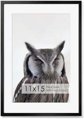 11x15 Metal Picture Frame with 8x10 Mat, Brushed Aluminum Finish, Attached Hanging Hardware, and Tempered Glass Front - Versatile Vertical or Horizontal Wall Display Frames Set of 1 - Black