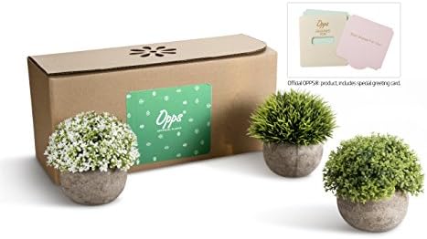 Opps Artificial Plastic Mini Plants Unique Fake Fresh Green Grass Flower in Gray Pot for Home Décor – Set of 3
