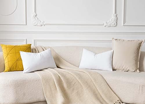 JUSPURBET 22x22 Decorative Velvet Throw Pillow Covers Set of 2,White