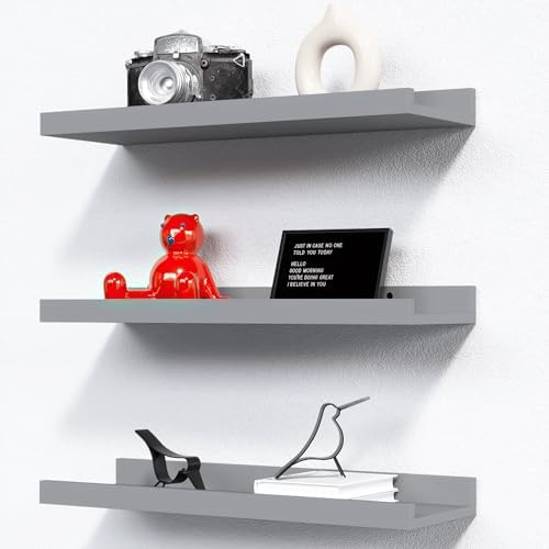 RICHER HOUSE 3-Set Floating Shelves with Lip, Grey Small Wall Shelf, 16In