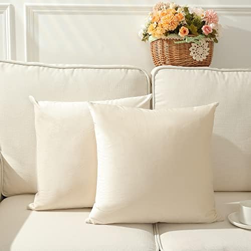 Stellhome 2 Packs Velvet Pillow Covers Square Big Decorative Cushion Covers for Bed Couch Sofa Bench (24x24 Inch/60x60 cm, Cream)
