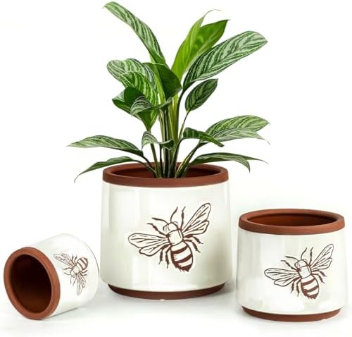 Terracotta Pots, 8+6+4 Inch Plant Pots, 3 Pcs with Drainage Holes