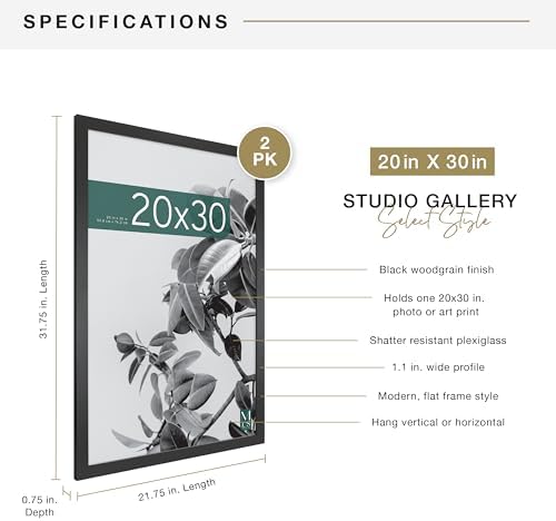 MCS Studio Gallery Poster Frame, 20x30, Black Woodgrain, 2-Pack