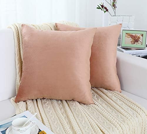 Jeneoo Set of 2 Comfy Soft Velvet Throw Pillow Covers for Sofa Couch Invisible Zipper Decorative Solid Square Cushion Cases for Bedroom Car (16 x 16 Inches, Blush Rose)