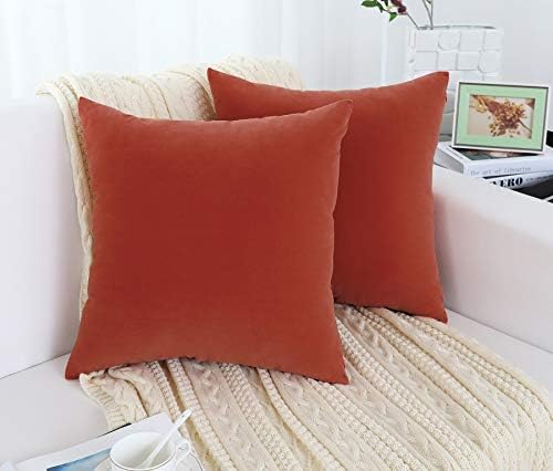 Jeneoo Comfy Soft Velvet Halloween Throw Pillow Covers for Sofa Couch, Decorative Solid Square Cushion Cases for Bedroom Car (Rust Orange, 18 x 18 Inches)