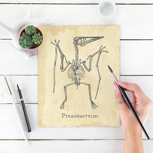 DREAM BIG PRINTABLES Dinosaur Fossils Art Prints (Set of 4) - Unframed - 8x10s | Vintage Dino Sketches of Triceratops, Stegosaurus, T-Rex Skull, and Pterodactyl | Boys Wall Decor
