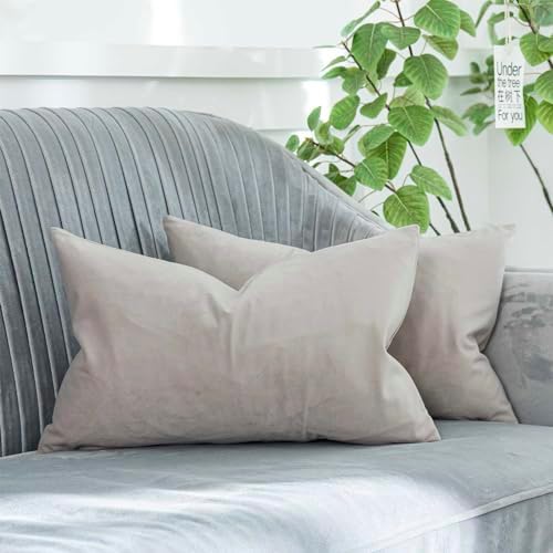 Cashmere Decorative Lumbar Velvet Throw Pillow Covers 16x24 inch Set of 2 with Zipper Luxury Soft Solid Rectangle Cushion Covers Case for Sofa Couch Bed Living Room