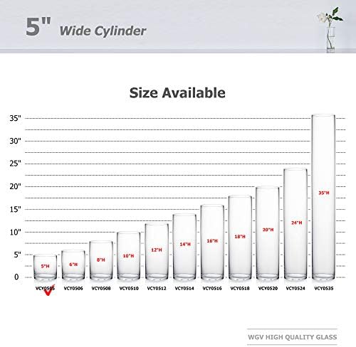 WGV Cylinder Glass Vase, Diameter 5", Height 5", Clear Glass Floral Planter Container, Floating Candle Holder for Wedding Party Event Home Office Decor, 1 Piece