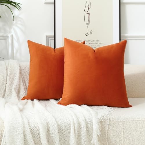 Stellhome Super Soft Velvet Throw Pillow Covers for Bed Couch Sofa Bench, 26 x 26 inch (65 cm), Burnt Orange, Pack of 2
