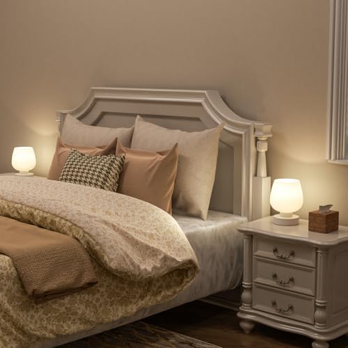 Seealle Touch Bedside Table Lamp Set of 2 - Small Bedside Lamp for Bedroom Living Room Night Stands, Desk Lamp with White Glass Shade for Small Spaces, 3 Way Dimmable, LED Bulbs, Gifts
