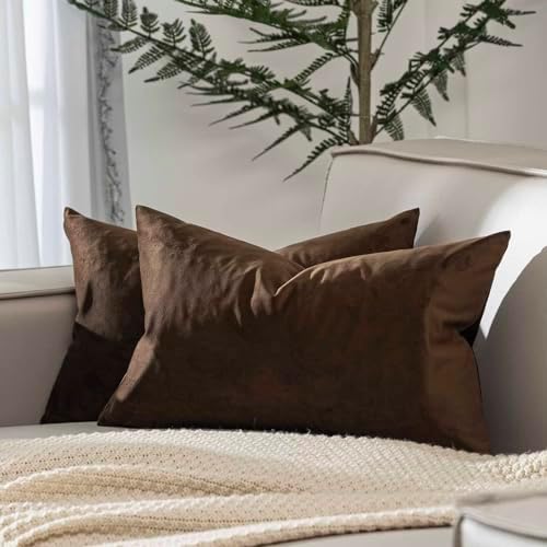 JUSPURBET 16x24 Lumbar Velvet Throw Pillow Covers Set of 2,Brown
