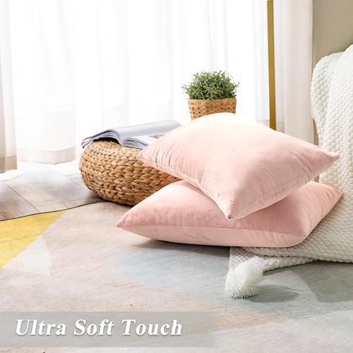 Stellhome Pack of 2 Super Soft Throw Pillow Covers Rectangle Solid Velvet Pillowcase for Bed Couch Sofa Bench, 12 x 20 inch (30 x 50 cm), Pink