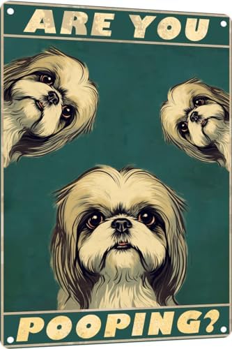 Metal Sign Shih Tzu Are You Pooping Sign Vintage Funny Sign Retro Aluminum Tin Signs for Home Farm Garden Bar Bathroom Kitchen 12x16 Inches(173B)