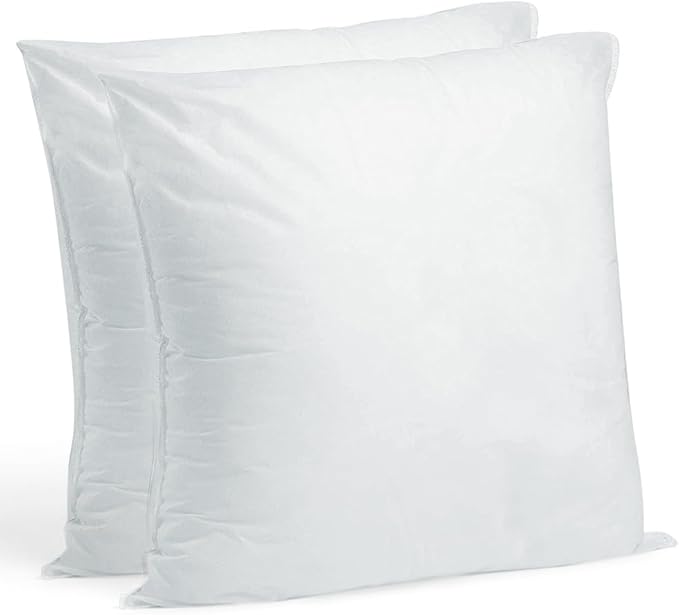 Hometex Throw Pillow Insert 18" x 18" Polyester Filled Standard Cover (2 Pack)