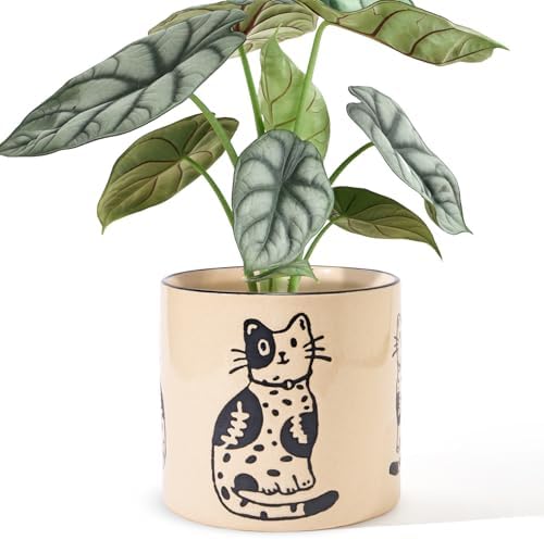 STHIE 5 Inch Ceramic Plant Pot with Drainage, Cute Planter for Indoor Plant