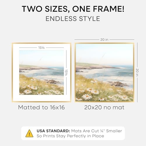 Homeforia 20x20 Gold Picture Frame, High-End Metal, 16x16 Mat, Glass