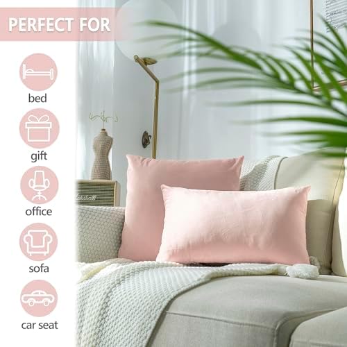 Stellhome Pack of 2 Cozy Velvet Pillow Covers Square Decorative Cushion Covers for Bed Couch Sofa Bench, 22 x 22 inch (55 x 55 cm), Light Pink