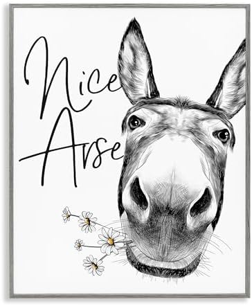 Stupell Industries 'Nice Arse Donkey Pun', Framed Giclee Art, Gray, 24 x 30 Inches, Easy to Hang and Sturdy, Made in USA, by Lettered and Lined