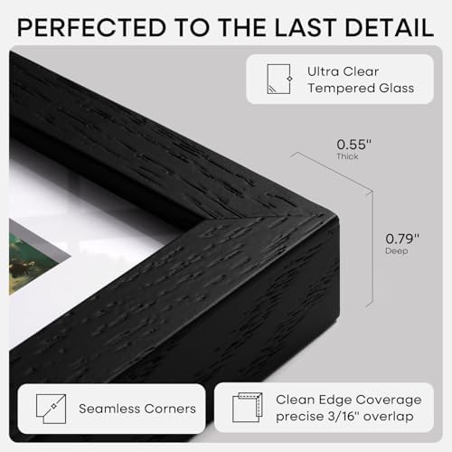Homeforia 22x28 Black Oak Poster Frame, High-End Wood, 18x24 Mat, Glass