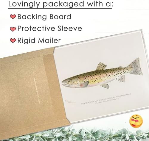 DREAM BIG PRINTABLES Vintage Fish Species Art Prints (Set of 6) - Unframed - 8x10 | Fishing Wall Decor for Fisherman