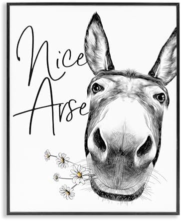 Stupell Industries 'Nice Arse Donkey Pun', Framed Giclee Art, Black, 11 x 14 Inches, Easy to Hang and Sturdy, Made in USA, by Lettered and Lined