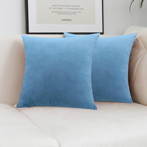 Jeneoo Set of 2 Decorative Throw Pillow Covers Soft Velvet Comfy Solid Couch Cushion Cases for Livingroom Bed Sofa Decor (Sky Blue, 18 x 18 Inches)
