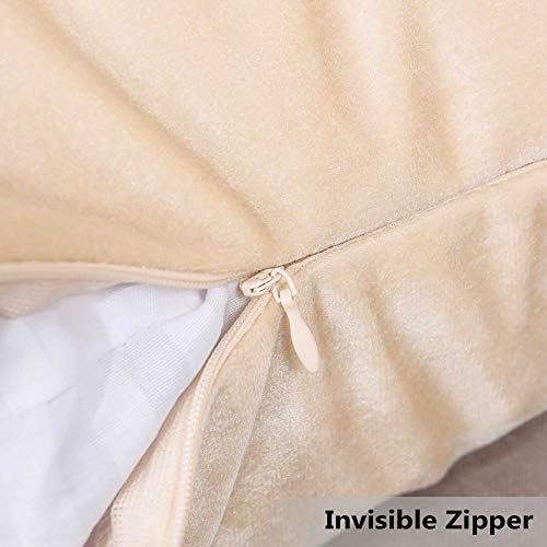Home Brilliant Rectangle Pillow Cover Cream Throw Pillows for Couch Velvet Decorative Pillow Covers for Living Room Sofa Bed, Set of 2, 12 x 20 Inch (30x50cm), Beige