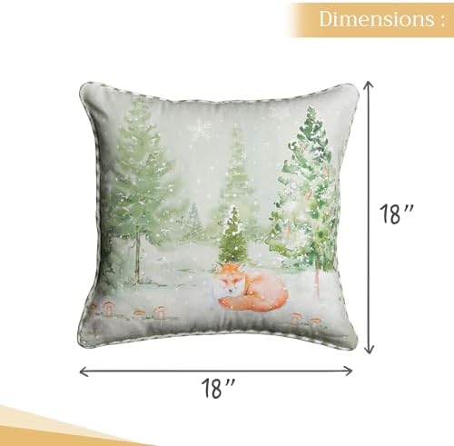 Maison d' Hermine Throw Pillow Covers 100% Cotton (18" x 18" - Pack of 1)