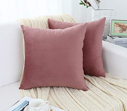 Jeneoo Velvet Throw Pillow Covers 16x16 Inch 2 Pack, Super Soft Thick Decorative Square Cushion Cases for Sofa Couch Bedroom Car, Dusty Rose