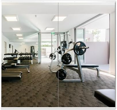 Delma Gym Mirrors for Home Gym, 54"x30" 2PCS Large Full Body Mirror, Tempered Glass Frameless Wall-Mounted Shatterproof for Workout, Yoga, Garage